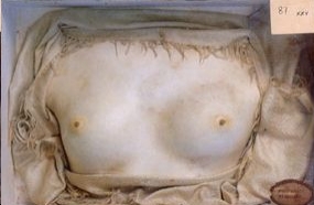 Foto di un busto e di una testa pietrificati da Girolamo Segato attualmente custodito all’Università di Firenze